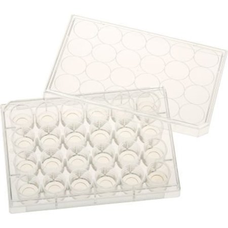 CELLTREAT SCIENTIFIC PRODUCTS CELLTREAT 24 Well Tissue Culture Plate with Lid, 10mm Glass Bottom, Individual, Sterile, 5/PK 229125